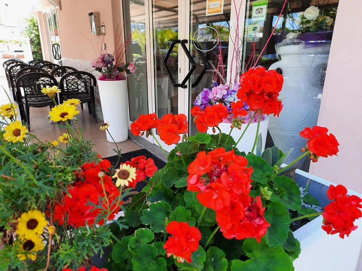 Hotel Bing Rimini 2*,